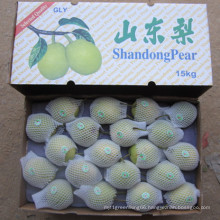 Green Shandong Pear Wholesale Price